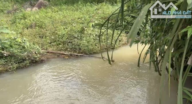 💥 Hơn 3,8ha đất rẫy trống Ia Ga, Chư Prông