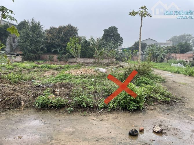 Chính chủ cần bán gấp lô góc ba mặt thoáng tại trung tâm khu đấu giá Chi Đông, Lệ Chi