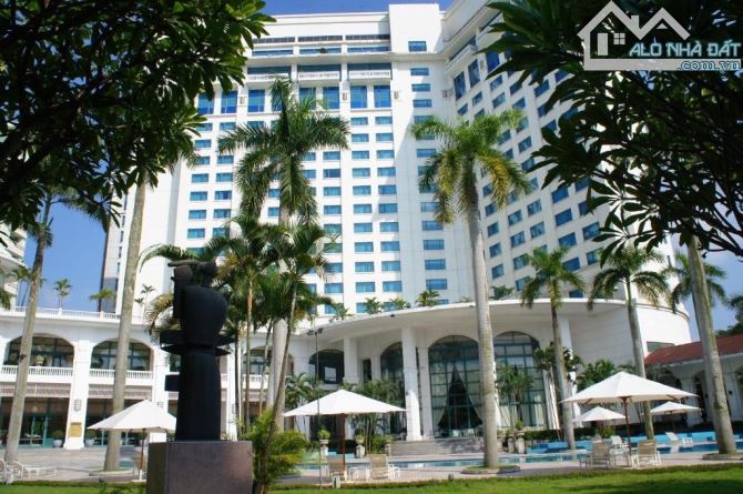 CĂN HỘ STUDIO - KHU VỰC TRUNG TÂM - MỚI ĐẸP Ở NGAY - VIEW MẶT PHỐ - AN SINH CỰC ĐỈNH - Ô T
