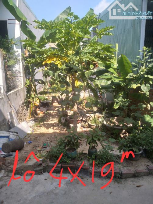Bán nhanh đất thổ cư, P.Trần Quang Diệu, Qui Nhơn