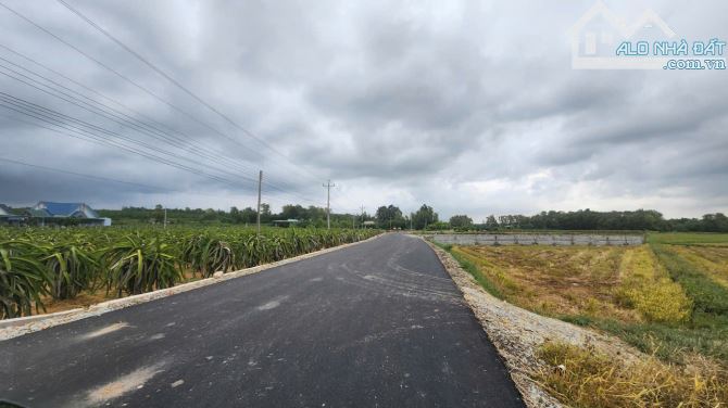 Bán 6m x 37m đất thổ cư Đường Lê Đức Thọ, Tân Bình, LaGi giá mềm gần Trường học