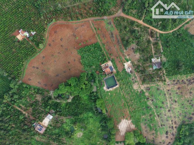 LÔ ĐẤT 2.6ha EAKIET GIÁ 175Triệu/ SÀO - ( thực tế 2,9ha)