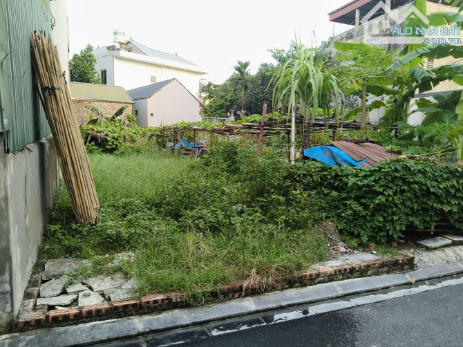 Bán đất khê nữ Nguyên Khê 80m² 6,5 tỷ