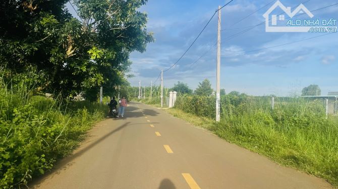 Chủ Gửi Bán Lô Đất Mặt Tiền Đường Nhựa -Cách Mạng Tháng Tám-Thị Trấn Đất Đỏ-Xã Đất Đỏ