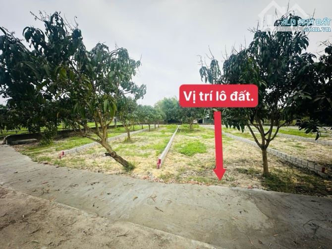 💥 SIÊU PHẨM ĐẤT NỀN – LƯU QUANG VŨ – 120M² – CHỈ 2,1 TỶ 💥