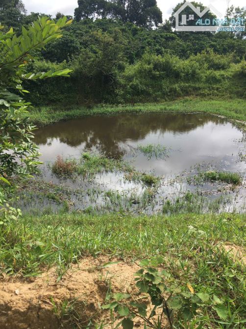 ần bán 2646m2 đất ở Ninh Gia, đất bằng phẳng, trên đất có hồ nước