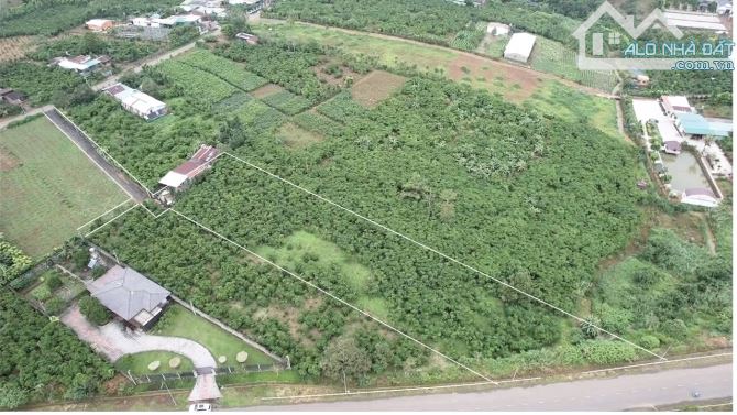 🆘🆘Bán đất mặt tiền Phan Đình Phùng, Lộc Tiến, Phường 3 Bảo Lộc 👉DT khủng 3228m2