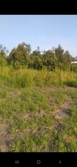 Bán 473m2 đất Mặt Tiền 917 đang làm lộ 30m - DT: 17mx30m giá 6tr/m2