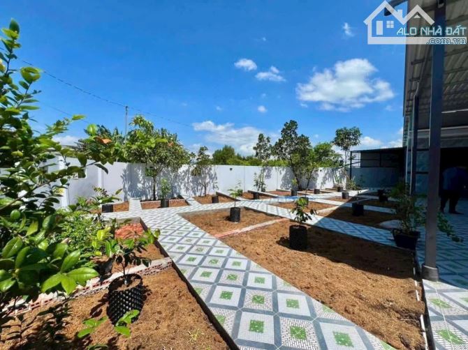 Cần Giuộc nhà vườn 368m2 SHR chỉ 1tỷ9 mua là dọn vào ở ngay. - 10