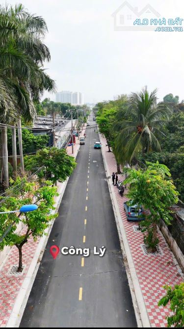 Bán Đất 1580m2(32mx49m) Mặt Tiền Công Lý,Bình Thọ,Thủ Đức-Giá 130 Tỷ TL - 4