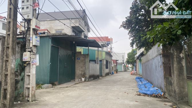 nuột như chi chi. Giá đẹp tại Xuân bách nội bài - 1