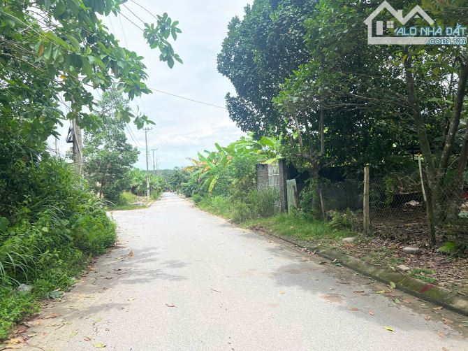 Đất hòa ninh 1, 125m2 đất ở đường 5,5m gần khu thương mại tự do - 1