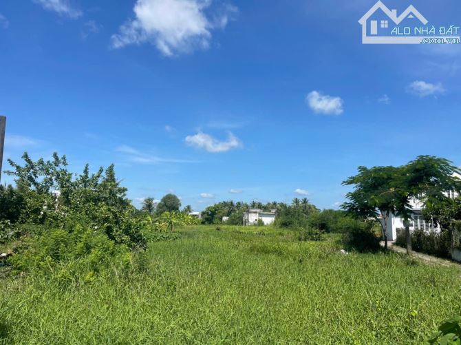 Bán 8.000m2 đất thổ cư, mặt tiền Tỉnh lợ 826 tại Cần Đước. Giá chỉ: 15tr/m2 thương lượng - 1
