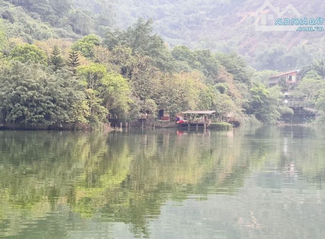 2336M2 LÔ GÓC ( 9 TRIỆU/M2 ) 800M2 THỔ CƯ  KHU NGỌC LINH - 1