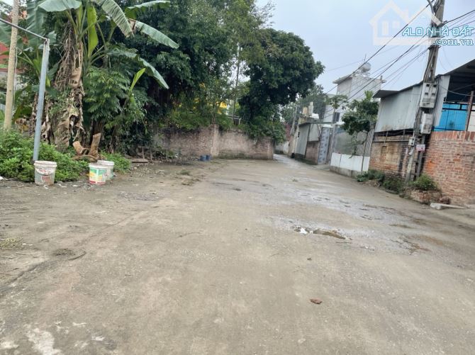 Chính chủ cần bán gấp lô góc ba mặt thoáng tại trung tâm khu đấu giá Chi Đông, Lệ Chi - 1