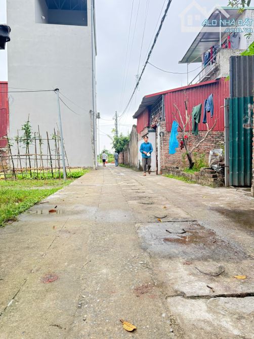 Bán gấp 48m Thôn Đoài - Nam Hồng - Đông Anh, cách bìa làng 15m, ô tô 7 chỗ vào đất, - 1
