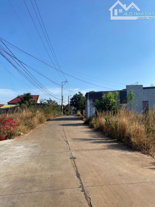 Cần Bán Đất Hẻm Triệu Quang phục Thành nhất - 1