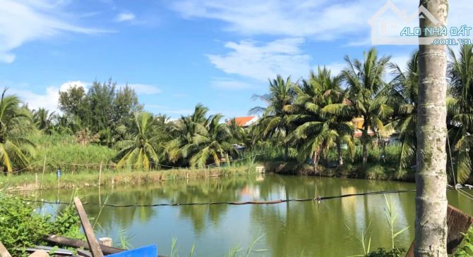 SIÊU PHẨM ĐẦU TƯ HOMESTAY – MẶT TIỀN TỐNG VĂN SƯƠNG 725M² NGANG 27M – TP. HỘI AN - 1
