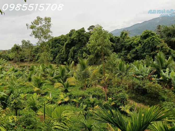 Cần tiền bán nhanh lô đất Xã Ba, Huyện Đông Giang, Quảng Nam, DT 10.115m2, giá đầu tư - 1