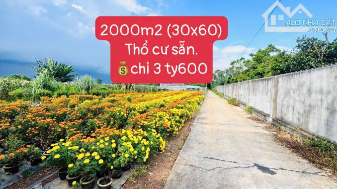 🌟 SIÊU HOT – ĐẤT NGANG KHỦNG 30M – XÃ ĐẤT ĐỎ, BRVT 🌟 - 1