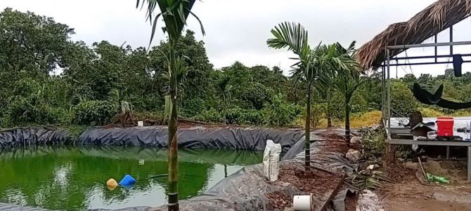 ĐẤT RẪY EAHDING 2.2Ha CƯMGAR - ĐAKLAK - 1