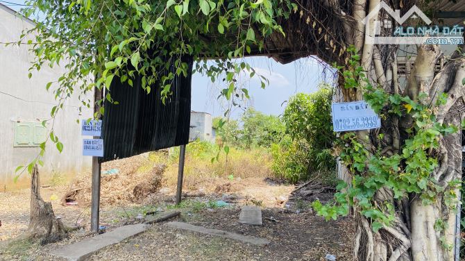 🚨 CẦN BÁN LÔ ĐẤT MẶT TIỀN QUỐC LỘ 14 VÕ VĂN KIỆT XÃ HOÀ PHÚ ĐĂK LĂK 🚨 - 1