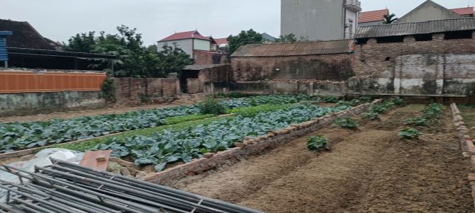 Bán đất thôn Hiệu Trân, xã Tân Hưng, Sóc Sơn - 1