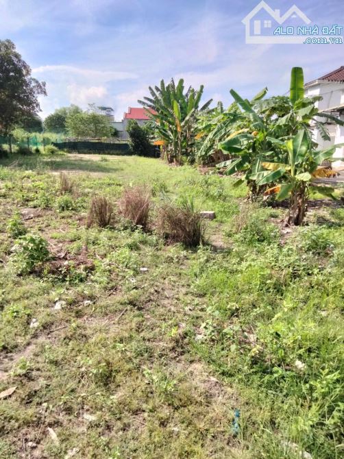 2000m² thổ cư,  Phú Mỹ Vũng Tàu, chỉ 4.7 tỷ – mua ngay kẻo tiếc cả đời - 1