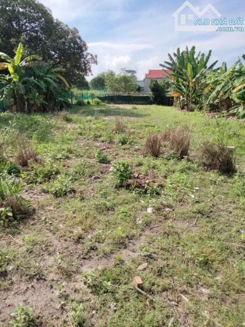Bán lô 2 Nguyễn Tuân, Hắc Dịch, diện tích khủng 2.000M2, Thổ Cư chỉ 4.7 tỷ - 1
