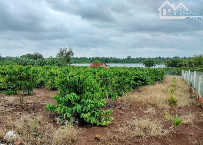 💥  ĐẤT SÀO 2 MẶT TIỀN VIEW HỒ BA VÒI- HÒA KHÁNH- BMT - 1