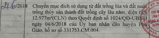 Bán 1,3ha cao su đang thu hoạch ở Phước Sang, Phú Giáo, Bình Dương giá rẻ 4 tỷ - 1