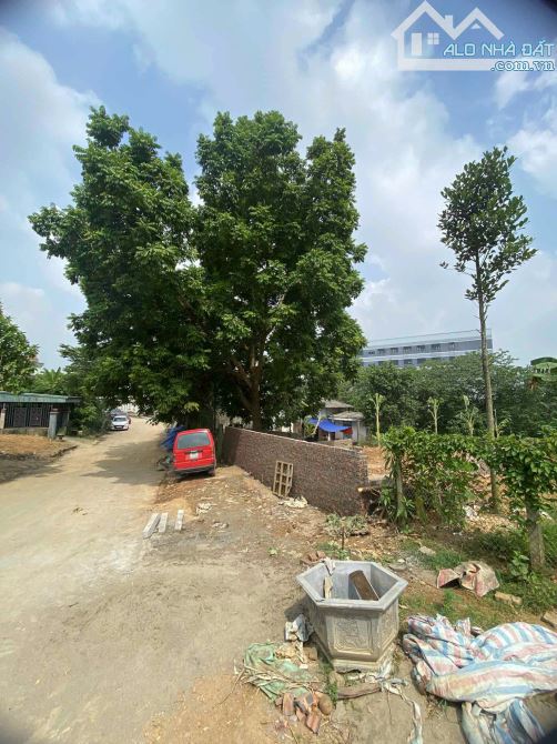Chính chủ!! Gia đình có mảnh đất 100m2 * MT 10m Vân Cơ - Việt Trì cần kết nối ai nhu cầu - 1