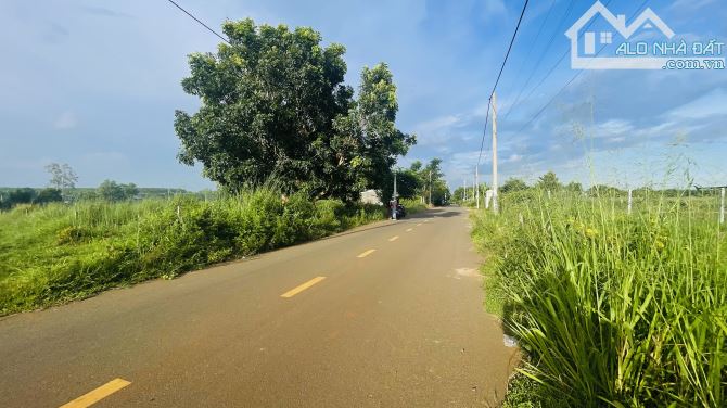 Chủ Gửi Bán Lô Đất Mặt Tiền Đường Nhựa -Cách Mạng Tháng Tám-Thị Trấn Đất Đỏ-Xã Đất Đỏ - 1