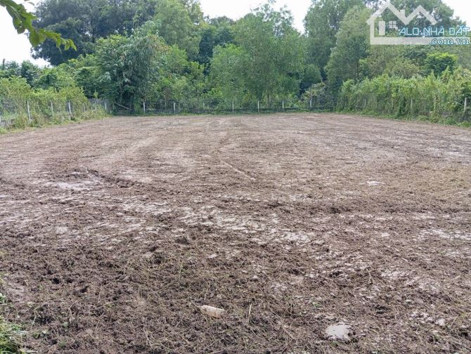 CHÍNH CHỦ - cần bán 1273m2 xã Tân An Hội - Củ Chi, đường bê tông 12m, mặt tiền 21m - 1