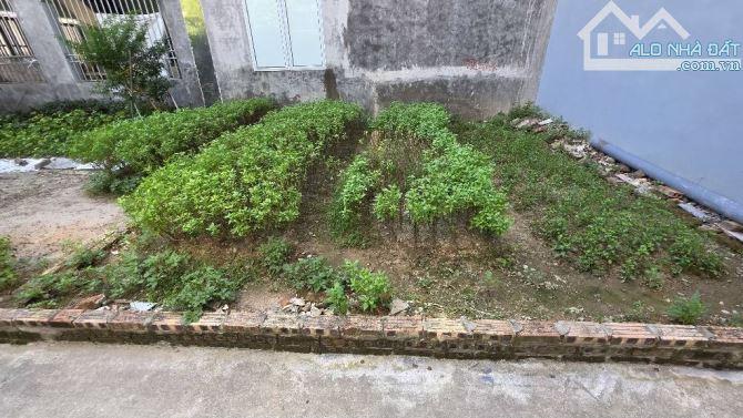 Bán đất 30m2 Trâu Quỳ - Gia Lâm, giá nhỉnh 4 tỷ - 1