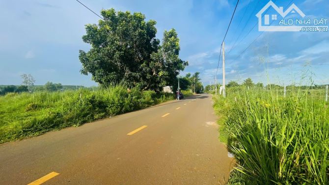 BÁN 640M2 SẴN TC ĐƯỜNG CÁCH MẠNG THÁNG 8 - TT ĐẤT ĐỎ ,GẦN TRÁNH QL55 ĐI KCN CHỈ 3KM - 1