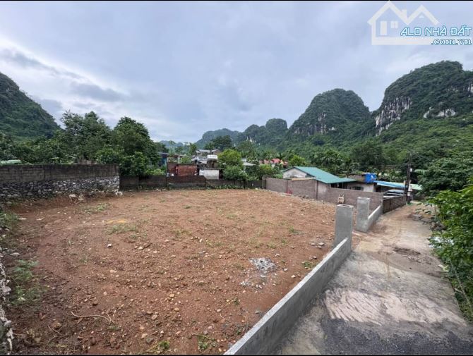 426m2 full thổ cư - MT20m - NỞ HẬU - PHÂN LÔ TỐT - GIÁ 1,x TỶ - 1