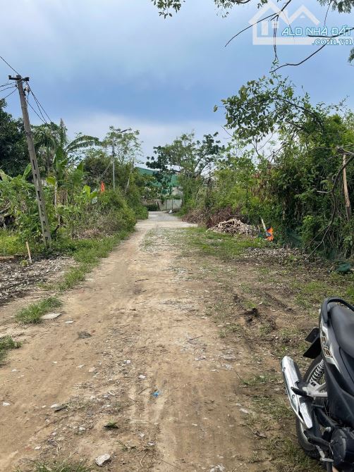 BÁN 2 LÔ ĐẤT KHỐI VĨNH LẠC – PHƯỜNG ĐÔNG VĨNH – THÀNH VINH 62m2 TÂY BẮC - 1