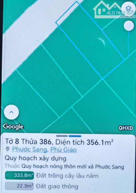 Bán 1,3ha cao su đang thu hoạch ở Phước Sang, Phú Giáo, Bình Dương giá rẻ 4 tỷ - 12