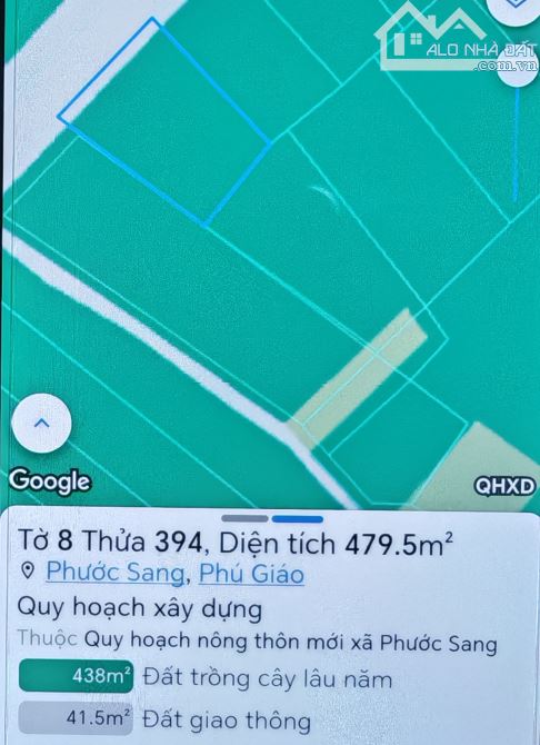 Bán 1,3ha cao su đang thu hoạch ở Phước Sang, Phú Giáo, Bình Dương giá rẻ 4 tỷ - 13
