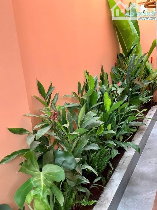 Bán nhà hẻm 283 Lê Đức Thọ Phường 17 Gò Vấp gần trường Trần Hưng Đạo 78m2 hẻm xe hơi - 15