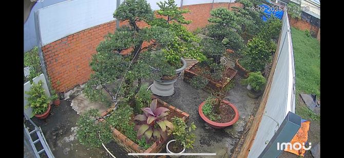 🌳 BÁN LÔ ĐẤT CÓ VƯỜN TÙNG ĐÃ THÀNH PHẨM – CỦ CHI, TP.HCM