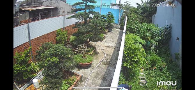 🌳 BÁN LÔ ĐẤT CÓ VƯỜN TÙNG ĐÃ THÀNH PHẨM – CỦ CHI, TP.HCM - 1