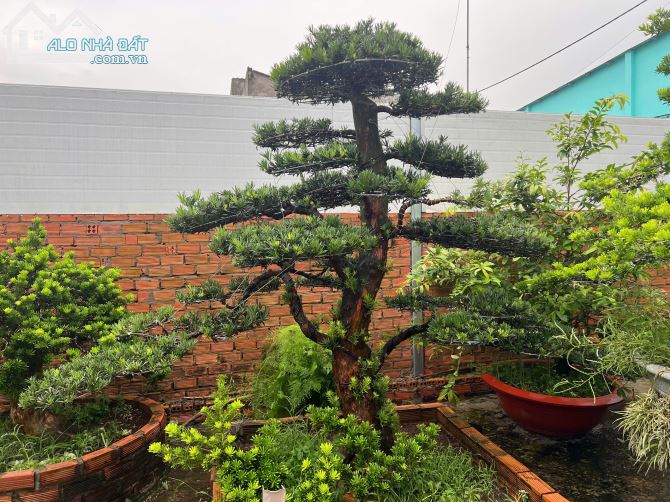 🌳 BÁN LÔ ĐẤT CÓ VƯỜN TÙNG ĐÃ THÀNH PHẨM – CỦ CHI, TP.HCM - 2