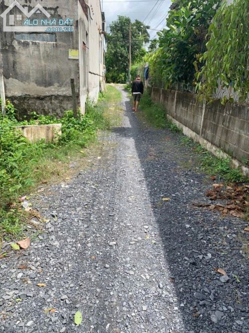 🌳 BÁN LÔ ĐẤT CÓ VƯỜN TÙNG ĐÃ THÀNH PHẨM – CỦ CHI, TP.HCM - 5