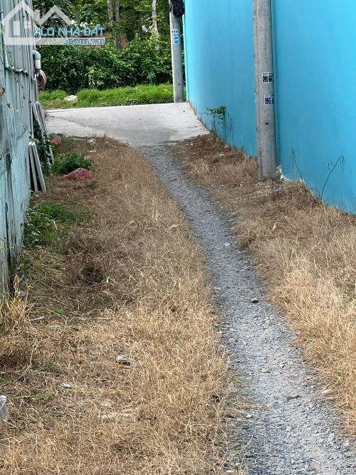 🌳 BÁN LÔ ĐẤT CÓ VƯỜN TÙNG ĐÃ THÀNH PHẨM – CỦ CHI, TP.HCM - 6