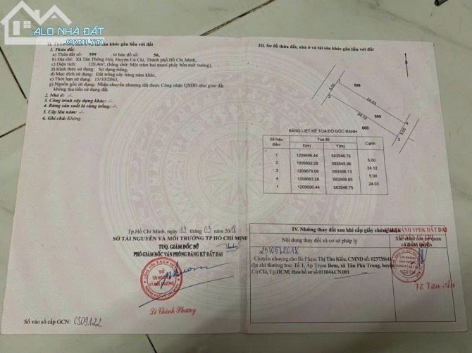 🌳 BÁN LÔ ĐẤT CÓ VƯỜN TÙNG ĐÃ THÀNH PHẨM – CỦ CHI, TP.HCM - 7
