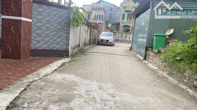 nuột như chi chi. Giá đẹp tại Xuân bách nội bài - 2