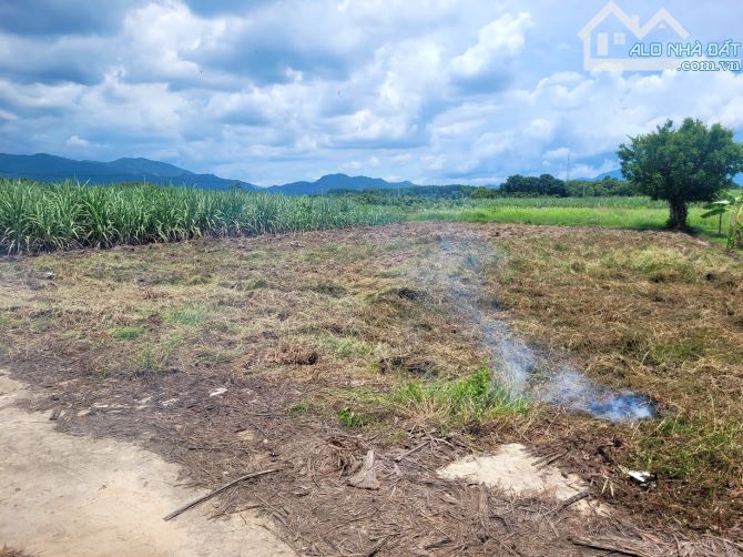 Bán đất 755m . Xã cam an nam . Cam lâm khánh hòa - 1