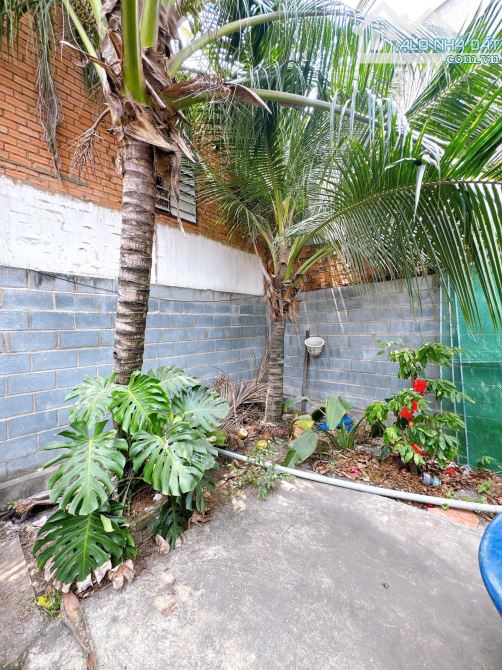 Bán nhà gần 200m2 mặt tiền kinh doanh gần Đền Thánh Martin P. Tân Hoà - 2
